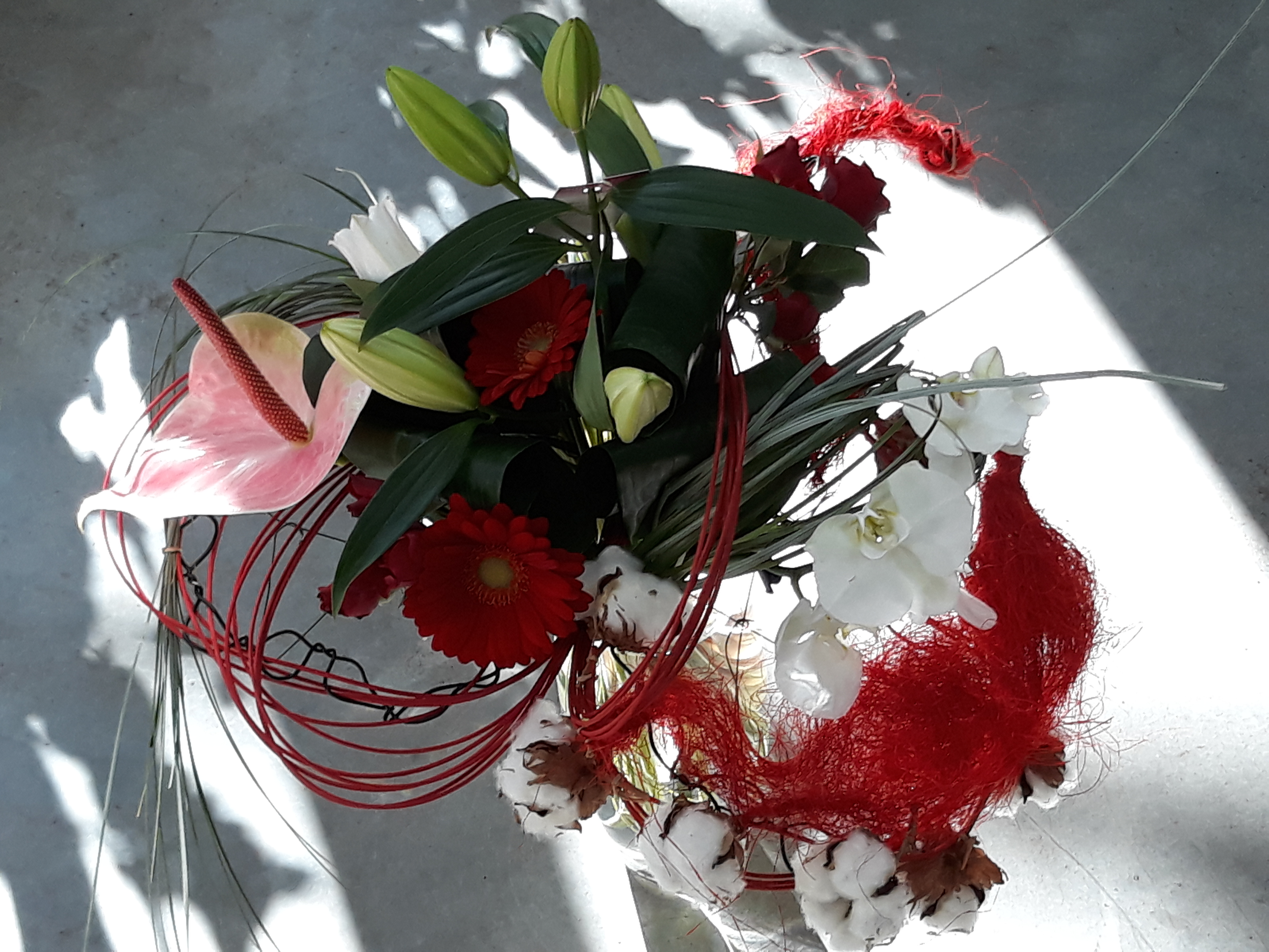 Photo n° 3 de l'avis de alexandre.o fait le 14/02/2019 à 13:30