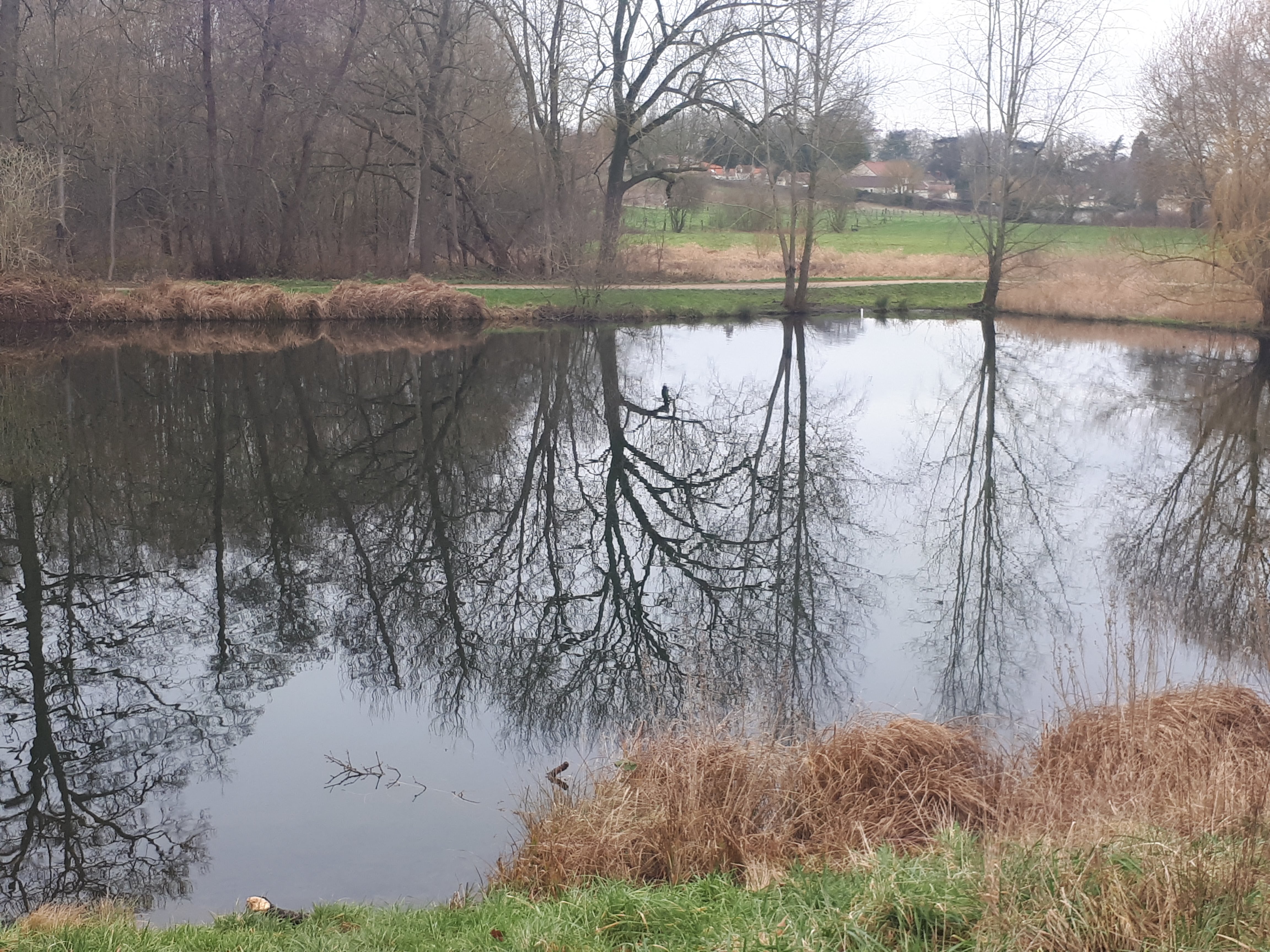 Photo n° 8 de l'avis de Magali.e fait le 07/01/2018 à 16:08
