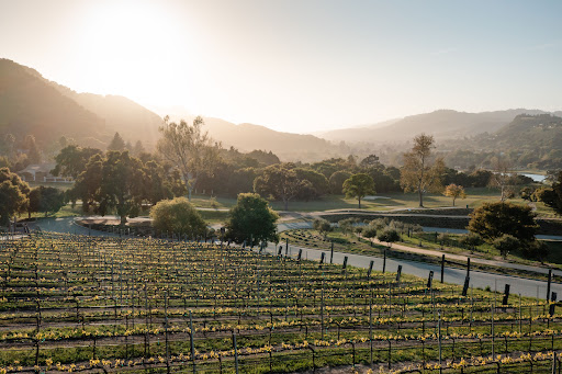 Carmel Valley Ranch - The Unbound Collection by Hyatt image