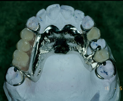 Fioravanti Laboratorio Dental Protesis Dental