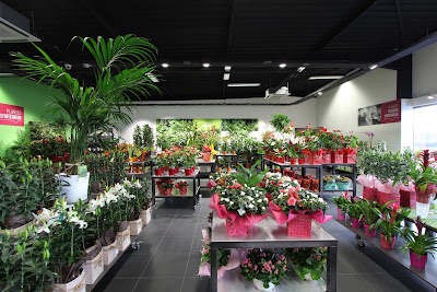 Le Jardin des Fleurs à Villeneuve-d'Ascq