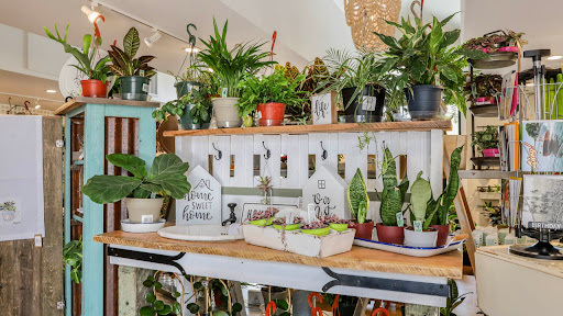 Home Improvement Store «Penn Valley True Value Hardware», reviews and photos, 17387 Penn Valley Dr, Penn Valley, CA 95946, USA