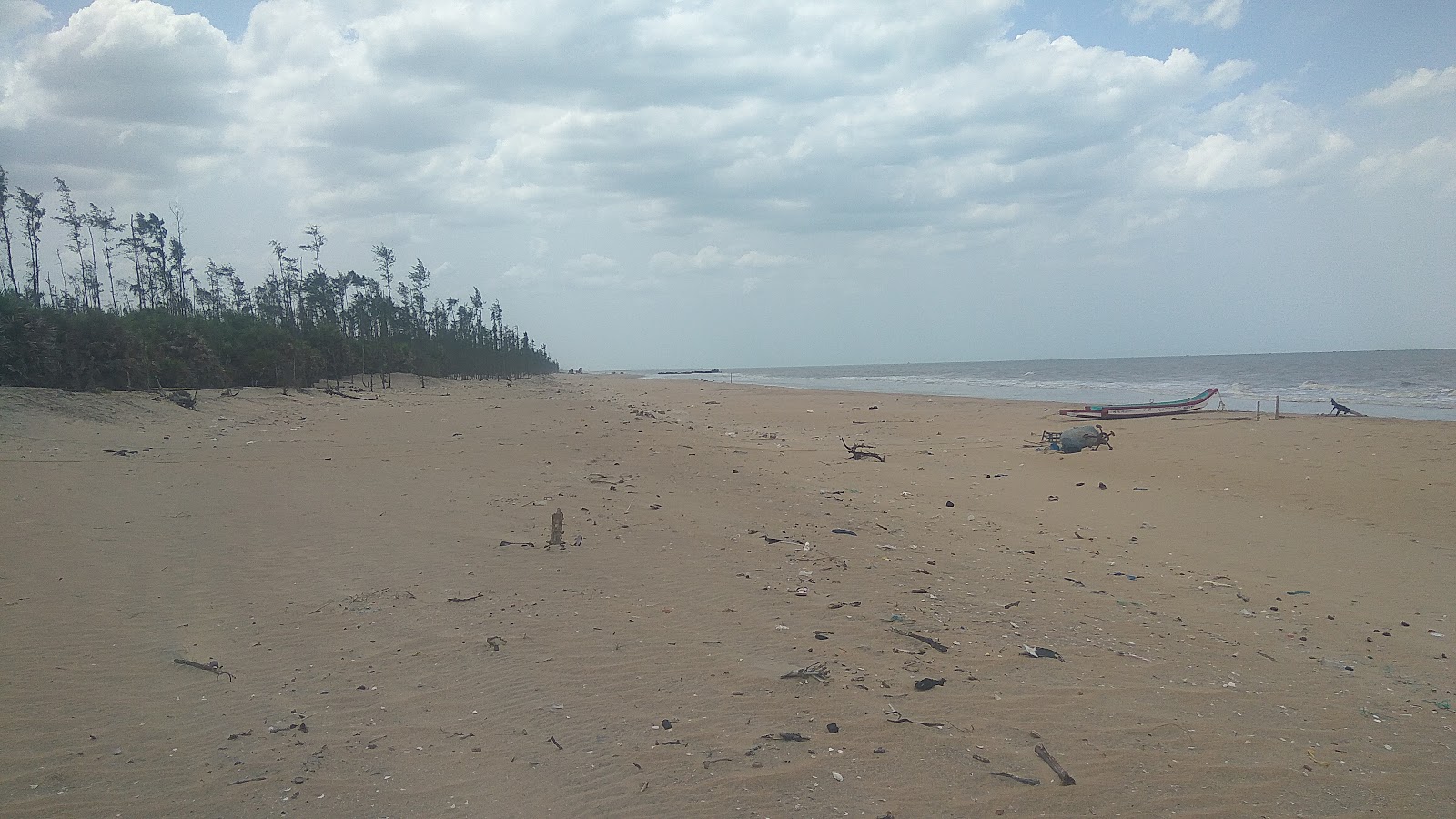 Fotografie cu Golden Sand Beach amplasat într-o zonă naturală
