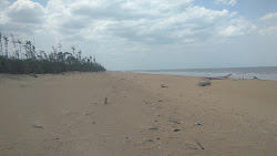 Foto von Golden Sand Beach - beliebter Ort unter Entspannungskennern
