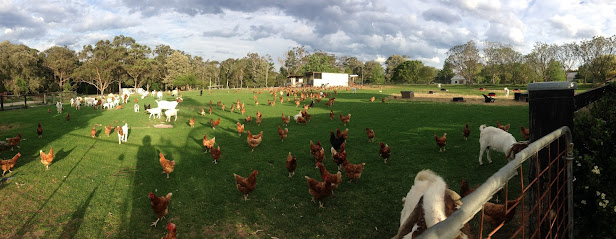 Nancy's Freedom Farm