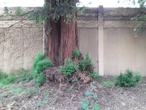 Casa Alondra - photo 1