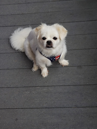 Air Conditioning Repair Service «Tin Man Heating & Cooling», reviews and photos