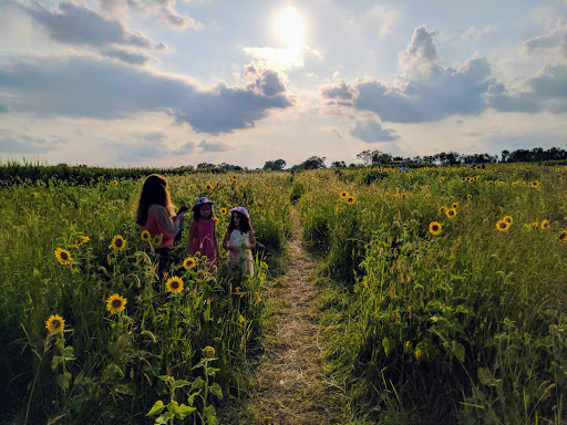 Park «Cottell Park», reviews and photos, 5847 Irwin Simpson Rd, Mason, OH 45040, USA