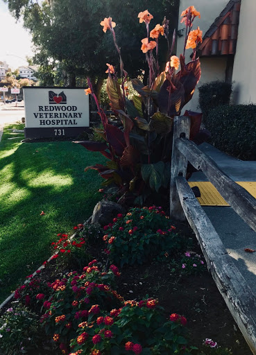 Redwood Veterinary Hospital image