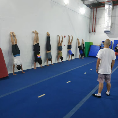 Asia Gymnastics & Dance Academy @ Yishun