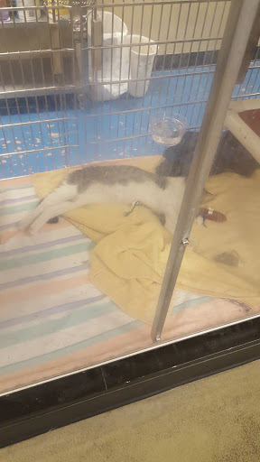 Pet Supply Store «PetSmart», reviews and photos, 1559 Merritt Blvd, Dundalk, MD 21222, USA