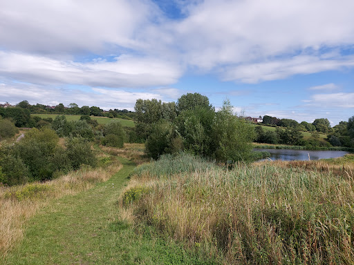 Whitfield Valley Nature Reserve, Stoke-on-Trent ST6 8EZ