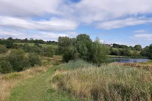 Whitfield Valley Nature Reserve image
