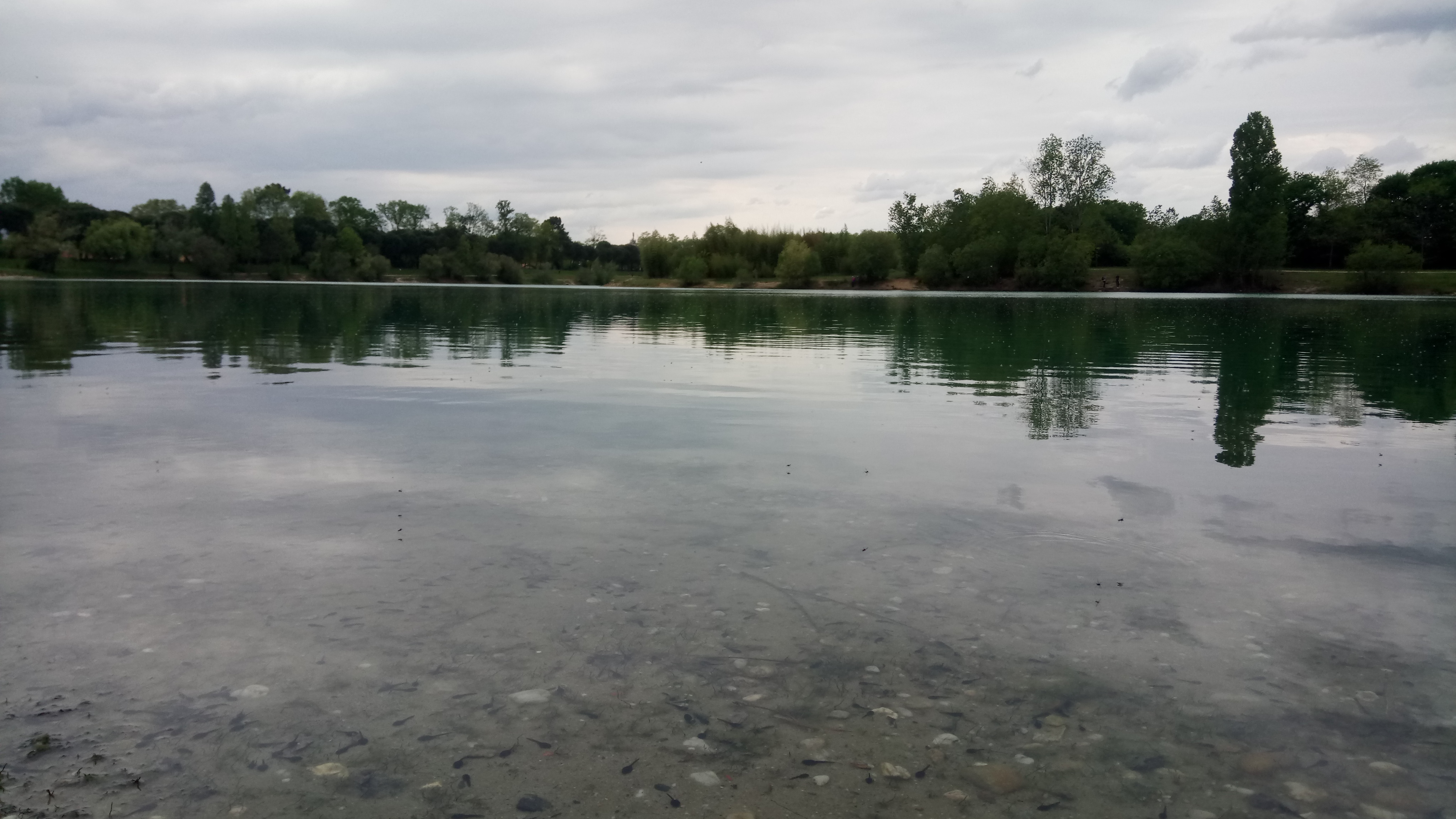 Photo n° 9 de l'avis de Agnès.E fait le 17/01/2019 à 17:31