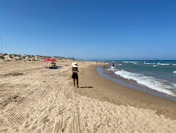 Playa del Campo'in fotoğrafı vahşi alan
