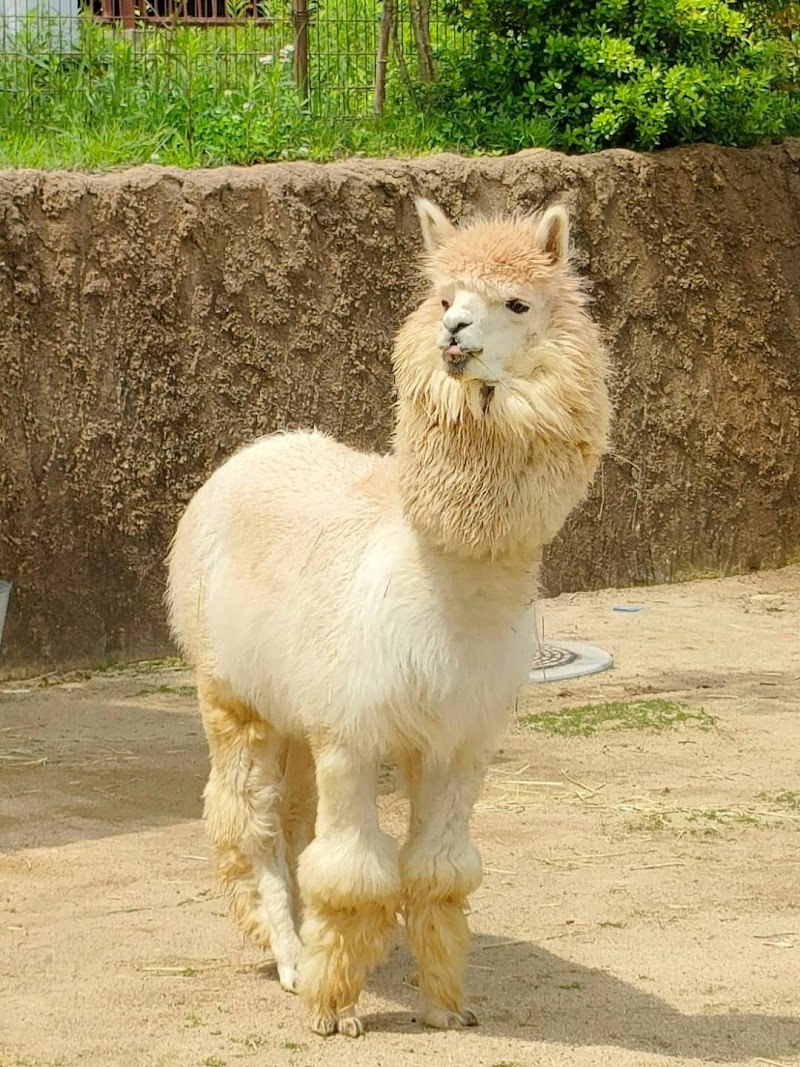 ときわ動物園