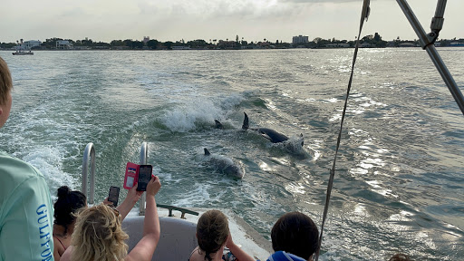 Boat Tour Agency «Dolphin Snorkeling Cruise», reviews and photos, 4630 29th Ave S, Gulfport, FL 33711, USA