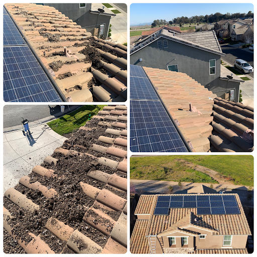 Mr Gutterman - Gutter / Solar Panel Cleaning