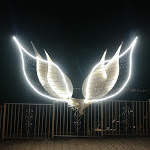 Photo n°1 de l'avis de Alessandro.a fait le 19/08/2021 à 19:18 sur le  Restaurant La Tavernetta à Caminia