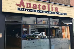 Anatolia Barbecue Restaurant & Takeaway image