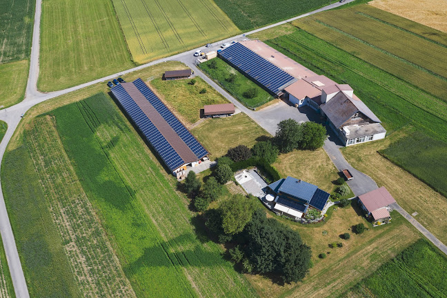 Ferme des Trois Epis Sàrl c/o Félix Löwensberg