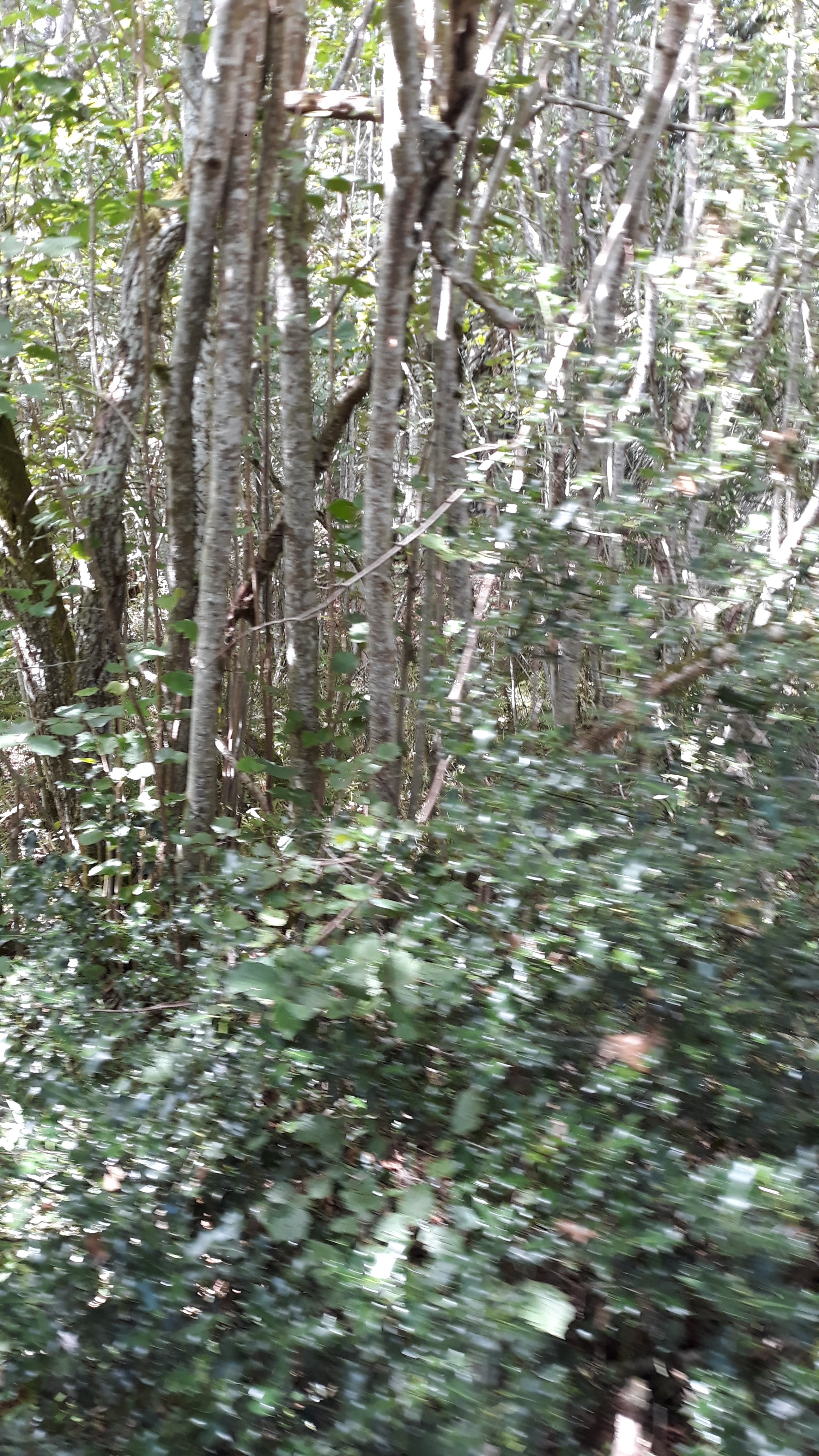 Photo n° 27 de l'avis de Mathis.l fait le 17/08/2019 à 07:13