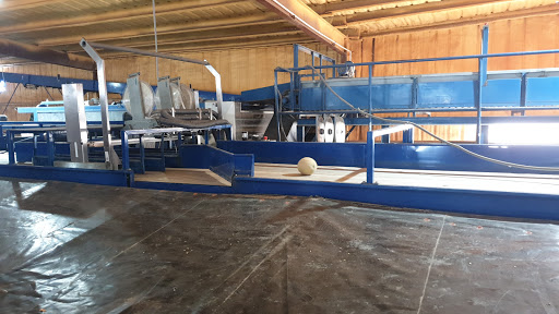 Mandujano Brothers/ Farms