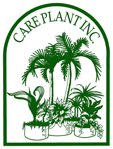 Care Plant Inc