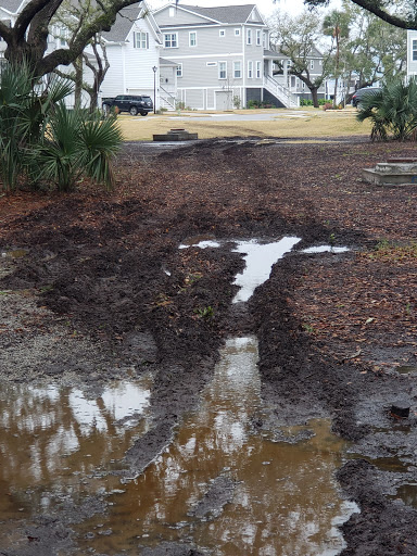 Lumber Store «Buck Lumber & Building Supply Inc», reviews and photos, 1911 Maybank Hwy, Charleston, SC 29412, USA