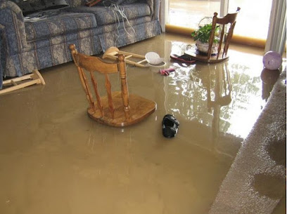Apricot City Water Damage Experts