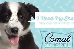 Comal Pet Hospital & Comal Springs Pet Resort and Spa