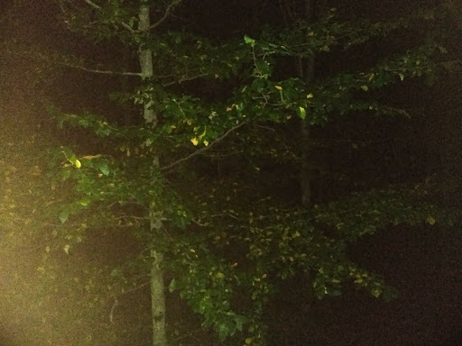 Nature Preserve «Wildlands Trust - Willow Brook Farm Preserve», reviews and photos, 99 Barker St, Pembroke, MA 02359, USA