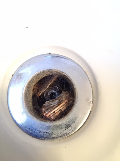 Plumber «West Coast Plumbing & Water Treatment LLC.», reviews and photos, 5651 Halifax Ave #3, Fort Myers, FL 33912, USA