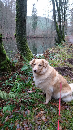 Photo Ferienwohnung Ferienwohnungen Haus Buchhardt 76891 Nothweiler