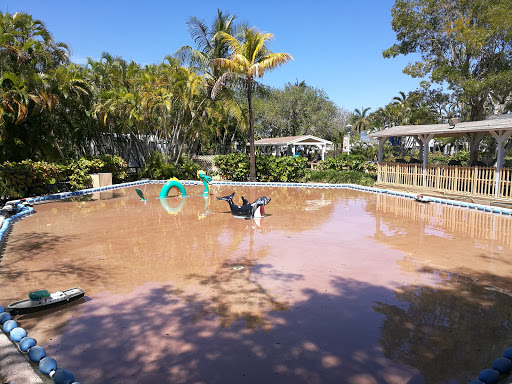 Aquarium «Miami Seaquarium», reviews and photos, 4400 Rickenbacker Causeway, Key Biscayne, FL 33149, USA