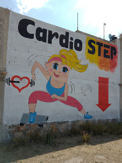 Step cardio - Cam. de la Cruz, 42988 Hgo., Mexico