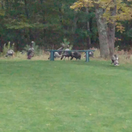 Golf Club «Kebo Valley Club», reviews and photos, 136 Eagle Lake Rd, Bar Harbor, ME 04609, USA