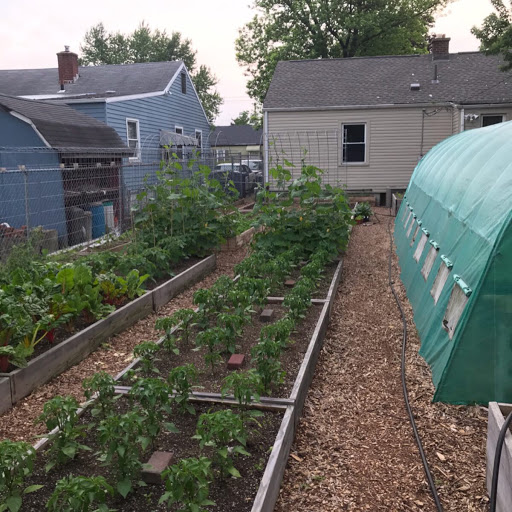 Capital City Greens Find Farm in Chicago Near Location