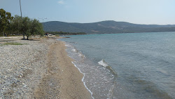 Foto di Gulkent beach con una costa spaziosa