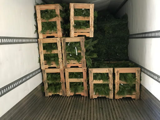 Wholesale Florist «Premier Foliage & Flowering», reviews and photos, 5748 Baum Blvd, Pittsburgh, PA 15206, USA