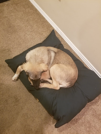 Pet Supply Store «Halbert Veterinary & Pet Supply», reviews and photos, 2675 M.L.K. Jr Blvd, Fayetteville, AR 72701, USA