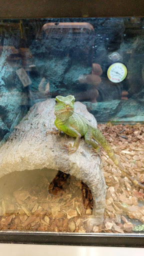 Pet Supply Store «Petco Animal Supplies», reviews and photos, 225 Maple Ave E, Vienna, VA 22180, USA