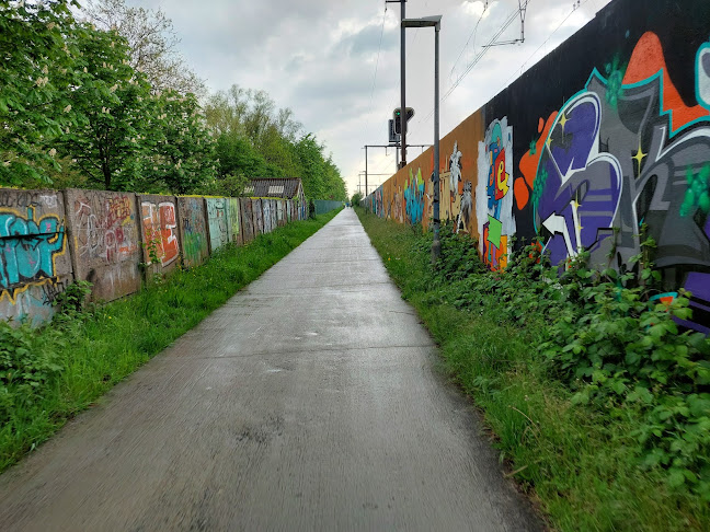 Reacties en beoordelingen van Graffiti muur Sint-Niklaas