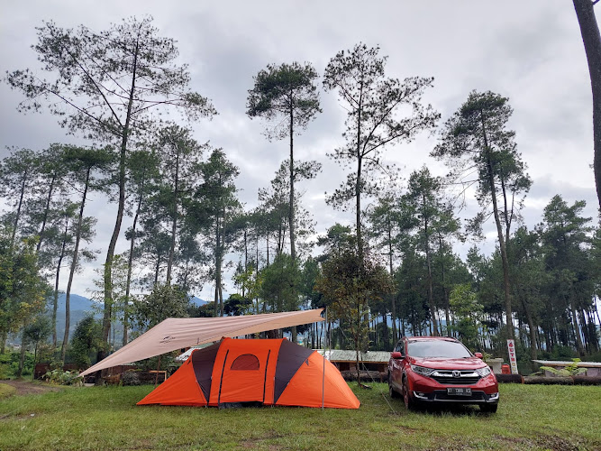 Taman Wisata Kebon Pines Camping Ground