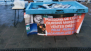 Photo n°1 de Pêche Provence Calanques à Marseille ()