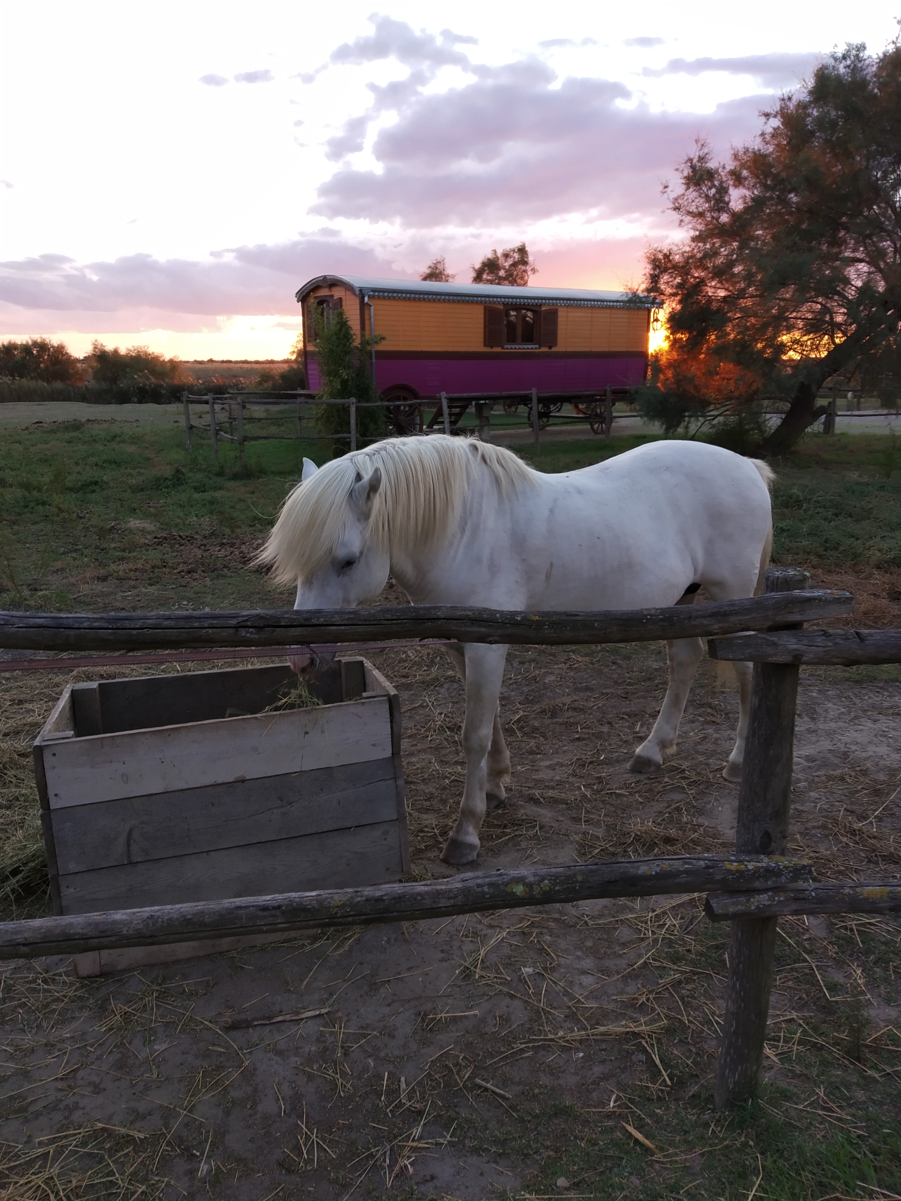 Photo n° 1 de l'avis de Carole.o fait le 18/10/2020 à 22:42