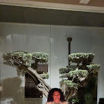 Photo n°1 de l'avis de annalisa.a fait le 14/06/2022 à 17:18 sur le  Corte dei Massi à Capodrise