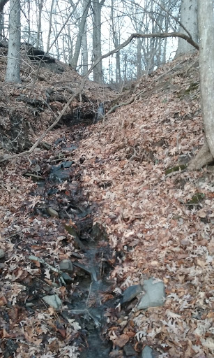 Park «Mohawk Landing Nature Preserve», reviews and photos, 640 Riverview Rd, Rexford, NY 12148, USA