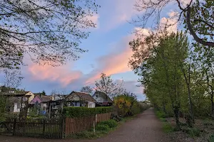 Gemeinnütziger Kleingartenbauverein Süd-Schöngewann e.V. image