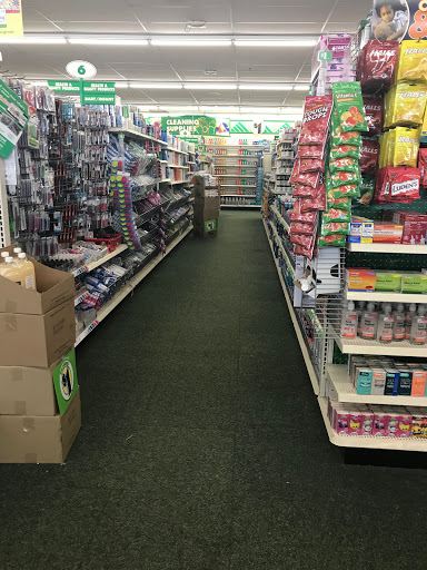 Dollar Store «Dollar Tree», reviews and photos, 1017 Pulaski Hwy, Havre De Grace, MD 21078, USA
